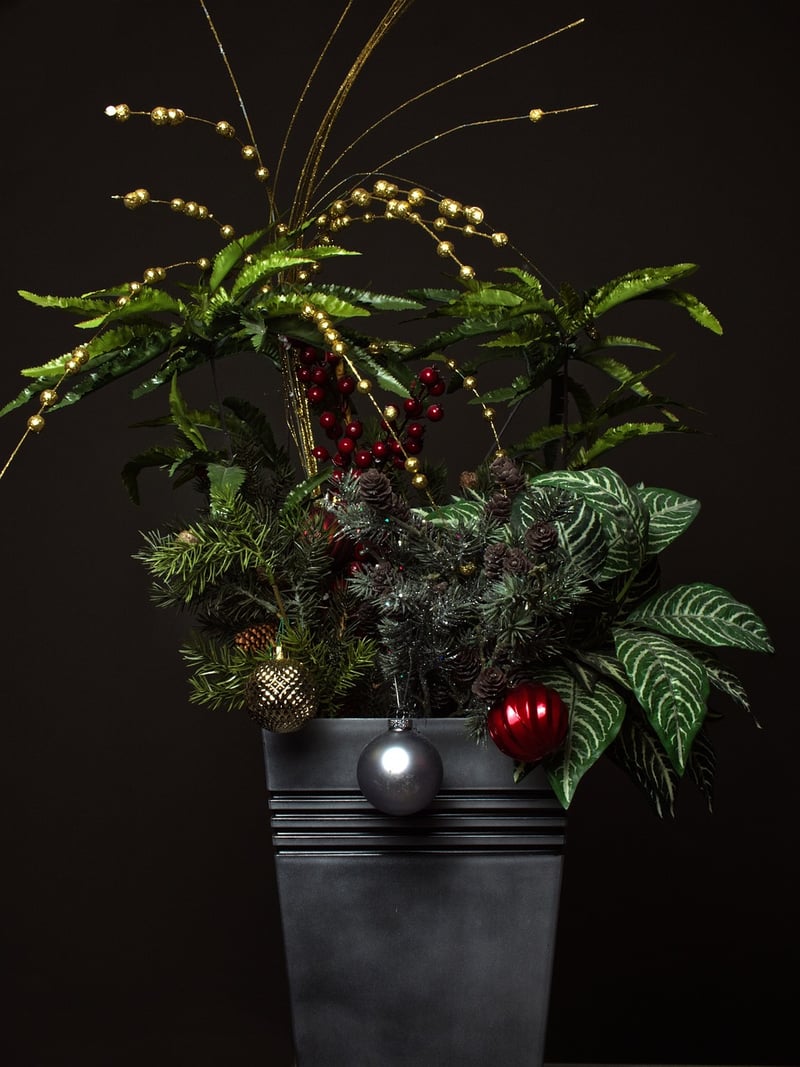 Indoor greenery options
